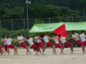 日野中