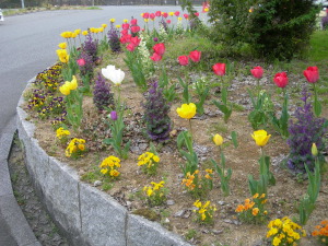 日野病院