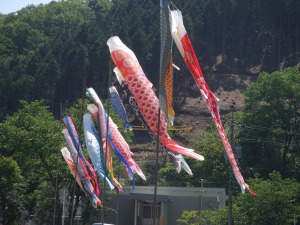 日南小学校