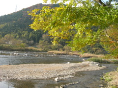 観察小屋