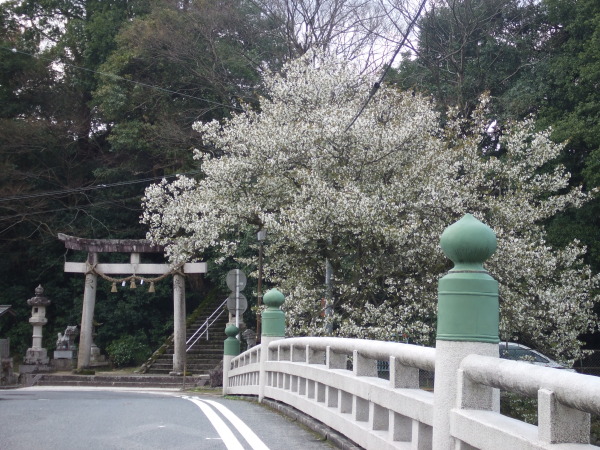 神社