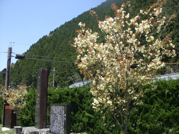 金持神社