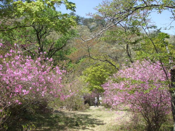 滝山