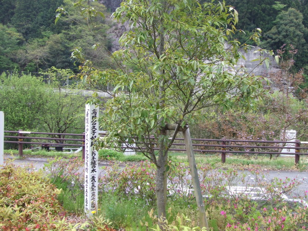 日野病院