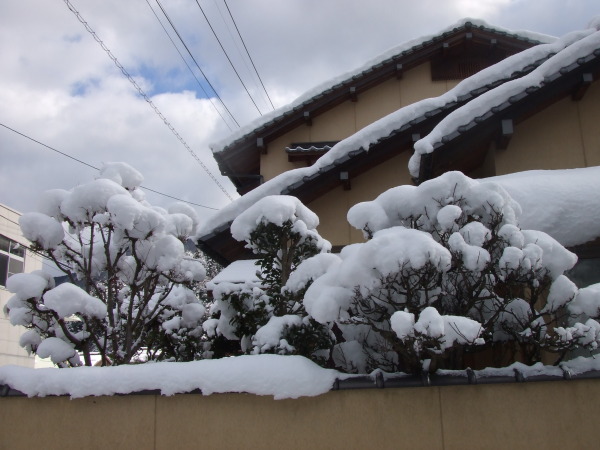 雪