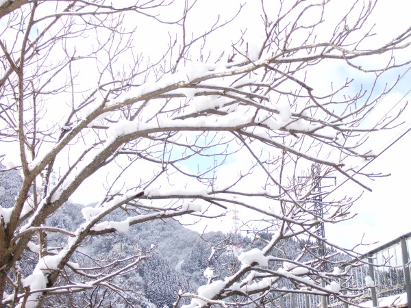 雪