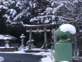 雪