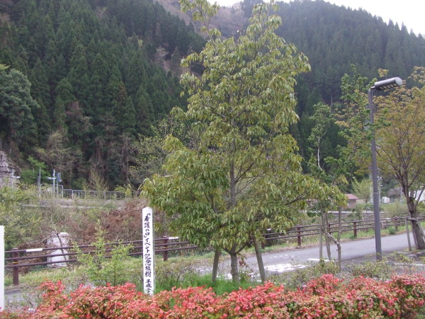 日野病院