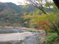 観察小屋周辺