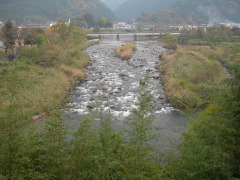 観察小屋