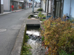 根雨のまち