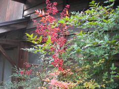 根雨の町並み