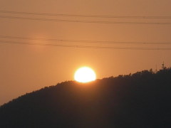夕日