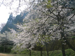 金持神社