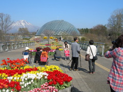 花回廊