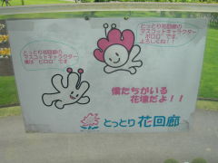 ゆり