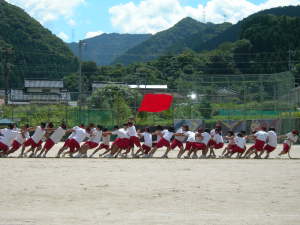 中学校