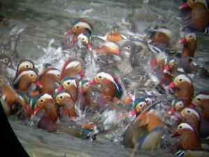 水しぶき