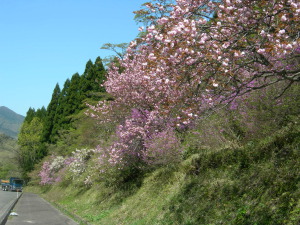 瀧山